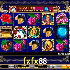 fxfx88 Rio de Janeiro - Bonus Terms